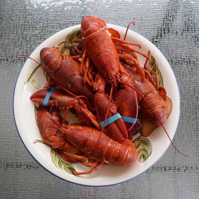 Locally sourced lobsters. 
